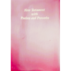 New Testament – English Open Edition | Affordable Bible for Outreach & Study