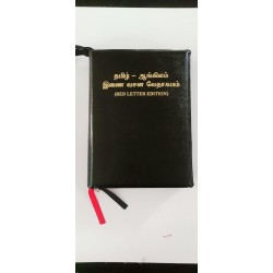 Buy Study Bible – Tamil & English – BSI Print | Bilingual Study Bible with Notes