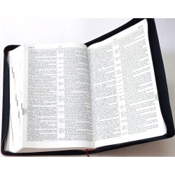 Buy Daniel Reference – Irumoli Tamil English Study Bible | Bilingual Edition with Study Notes