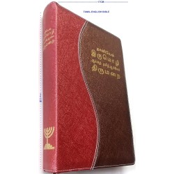 Buy Daniel Reference – Irumoli Tamil English Study Bible | Bilingual Edition with Study Notes
