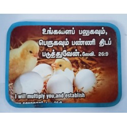 Medium Size Tape Board – 20x15 cm (LxH) 10pc Pack